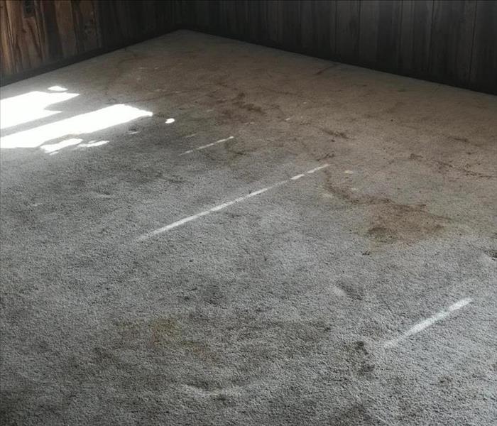 Fire and soot damage on a carpet