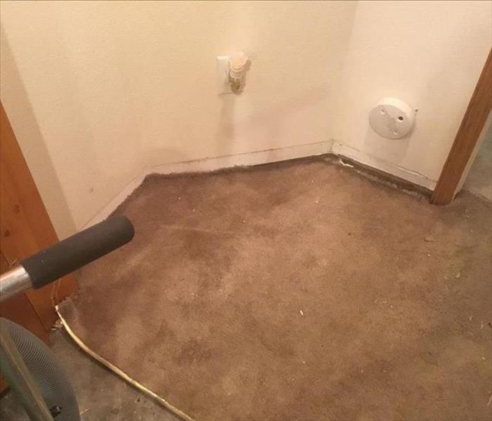 Water damaged carpet